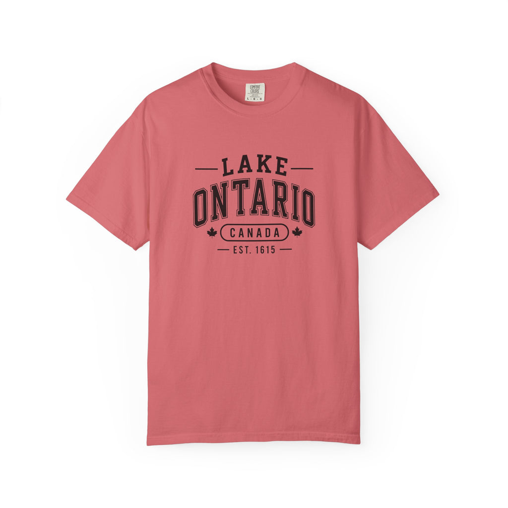Lake Ontario Garment-Dyed Tee, Shoreline Print