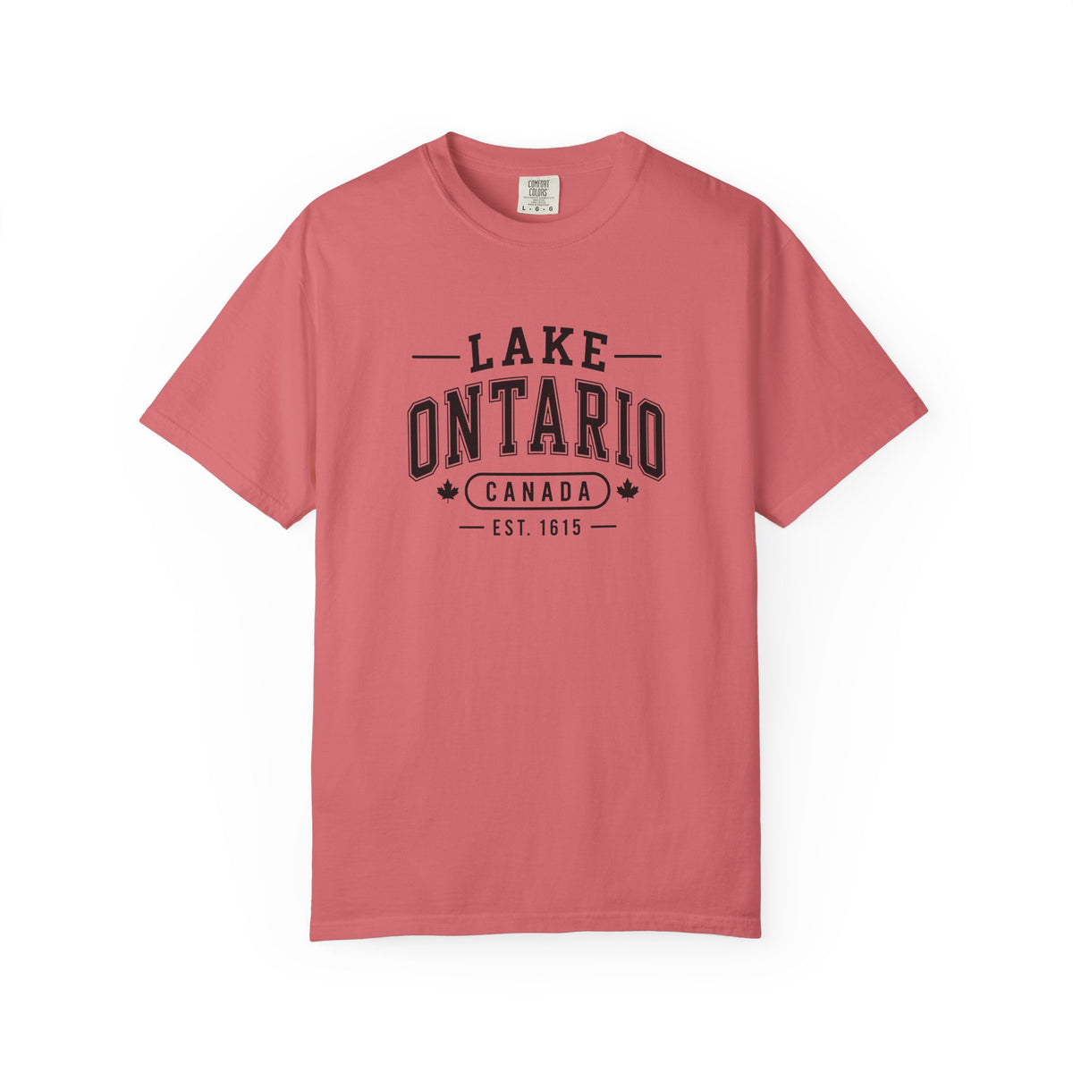 Lake Ontario Garment-Dyed Tee, Shoreline Print
