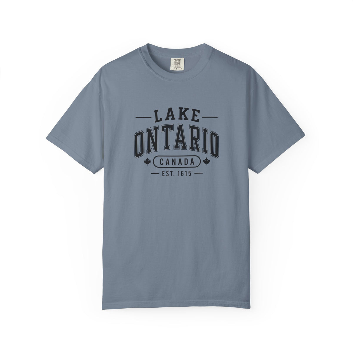 Lake Ontario Garment-Dyed Tee, Shoreline Print