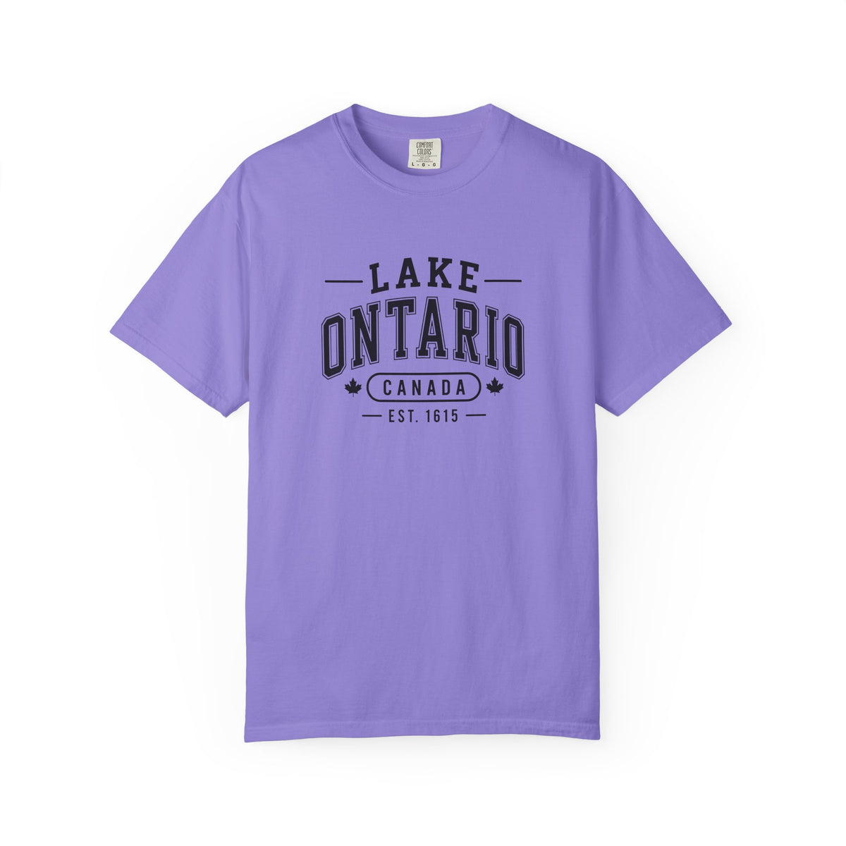 Lake Ontario Garment-Dyed Tee, Shoreline Print