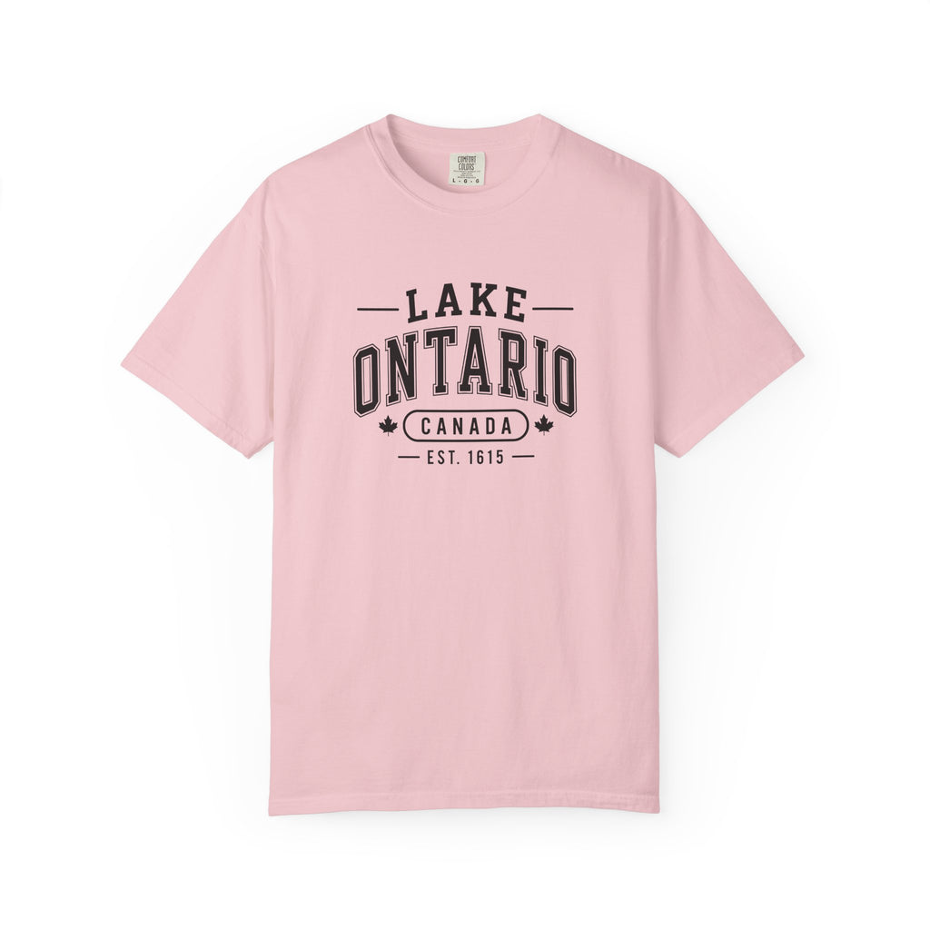 Lake Ontario Garment-Dyed Tee, Shoreline Print