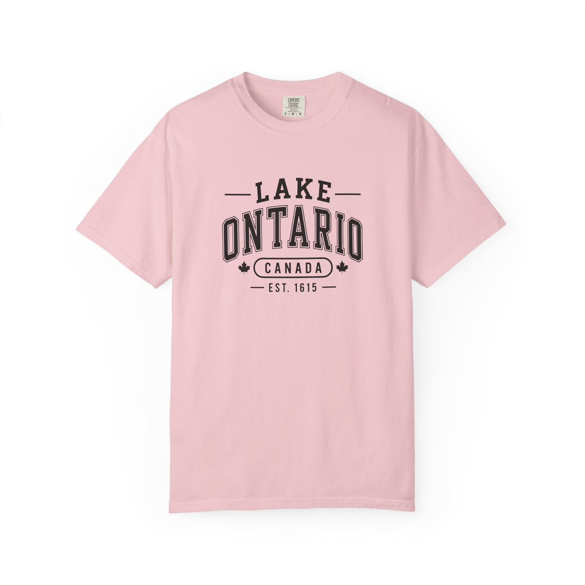 Lake Ontario Garment-Dyed Tee, Shoreline Print