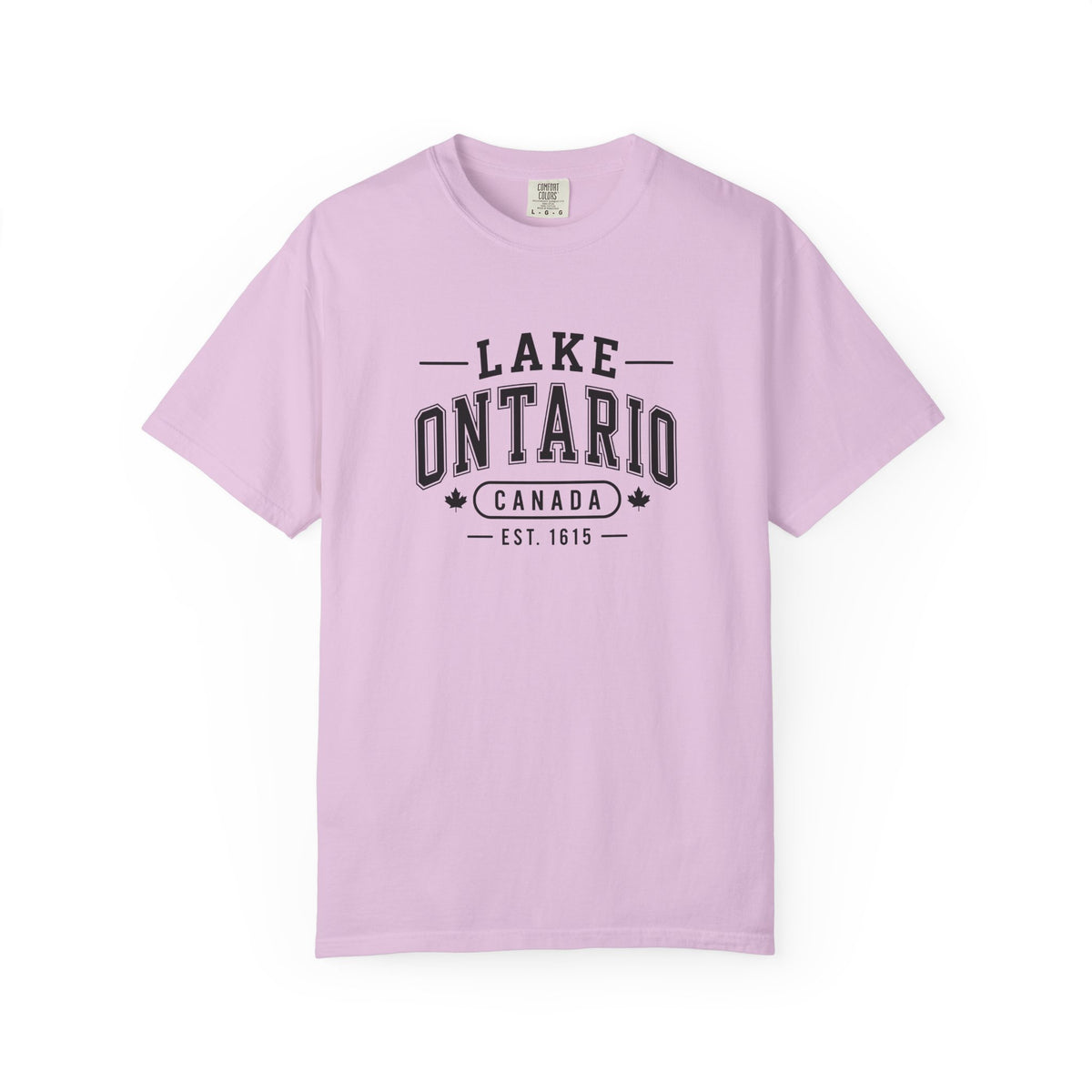 Lake Ontario Garment-Dyed Tee, Shoreline Print