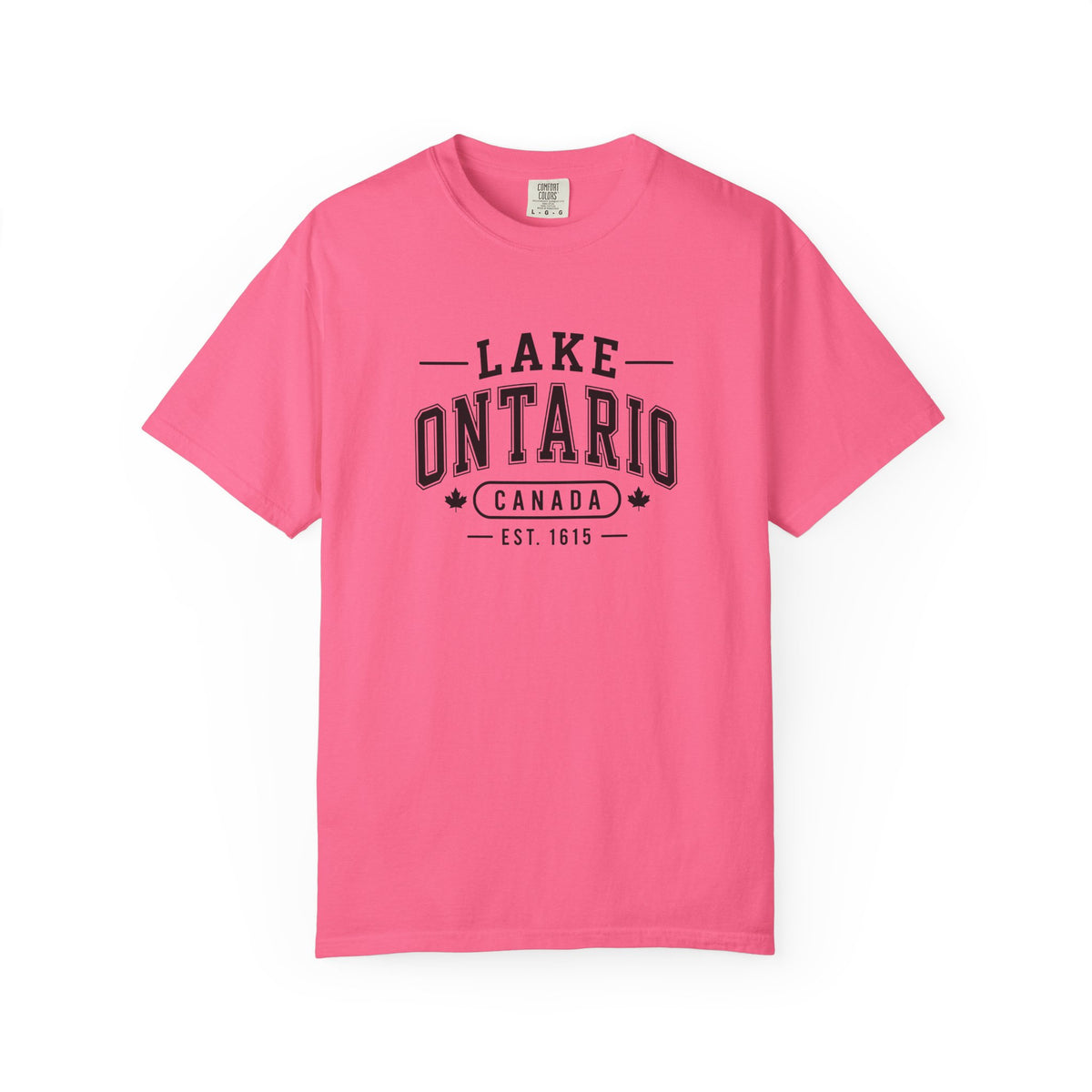 Lake Ontario Garment-Dyed Tee, Shoreline Print