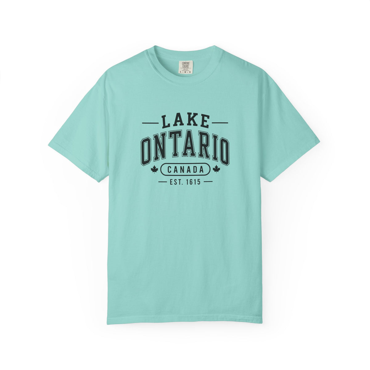 Lake Ontario Garment-Dyed Tee, Shoreline Print